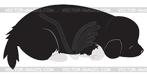 Sleeping Puppy - vector clipart / vector image