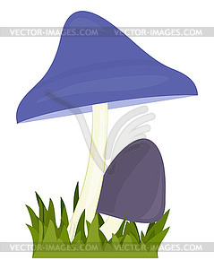 Toadstools - royalty-free vector clipart