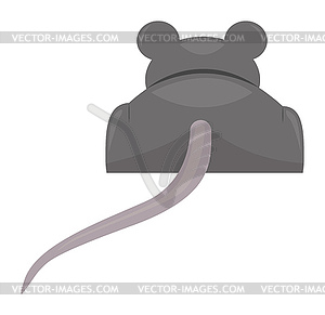 Gray mouse back - vector clipart