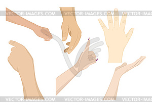 Set of human hands - color vector clipart