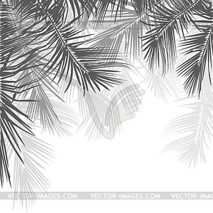 Palm tree branches.  - vector clipart