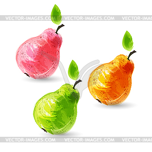 Set of fresh pears - vector clipart