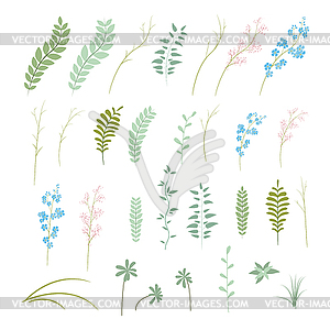 Набор растений, цветов и трав - стоковое векторное изображение