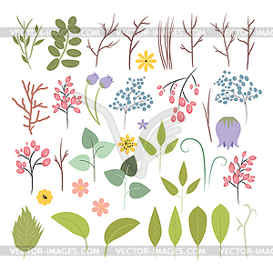 Set of plants, flowers and herbs - vector image