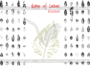 Collection of black paint seal leaves of trees and - color vector clipart