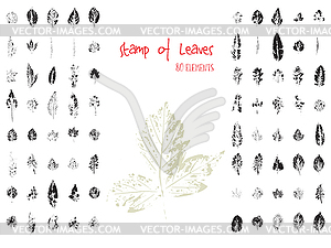 Collection of black paint seal leaves of trees and - vector clipart
