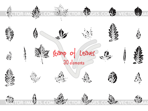 Collection of black paint seal leaves of trees and - vector image
