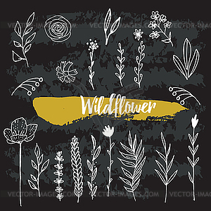 Collection of Wild Flowers - vector clip art