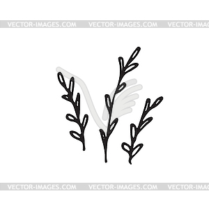 Hand-drawn sketch of plant - vector clip art