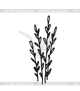 Hand-drawn sketch of plant - vector image