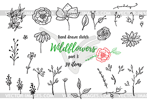 Collection Of Sketches With Plants - vector image