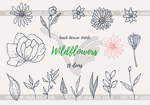 Collection Of Sketches With Plants - vector clipart / vector image