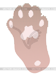 Pink cats paw - vector image