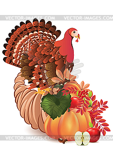 Cornucopia with Turkey bird - vector image