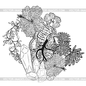 Human heart with floral and crystals - vector clipart