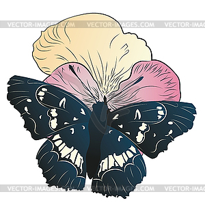 Black butterfly with petunia - vector image