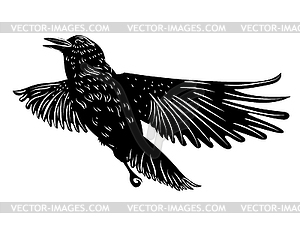 Black raven silhouette - vector clipart