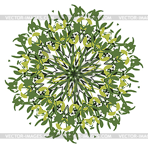 Branch of mistletoe - vector clipart