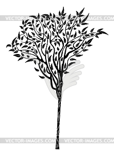 Eucalyptus tree design - vector clipart