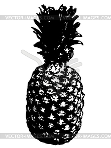 Grunge detailed pineapple - vector image