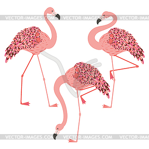 Pink flamingo design - vector clip art