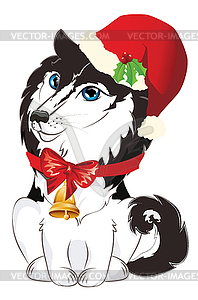 Husky in Santa hat - vector clipart