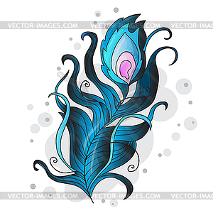 Peacock feather - vector image