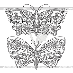 Butterfly - - Black and white - vector image