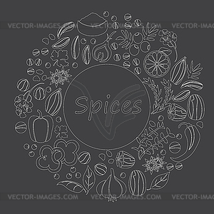 Set with Herbs Spices - vector image