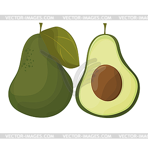 Cartoon avocados. Whole and cut avocado  - vector clipart