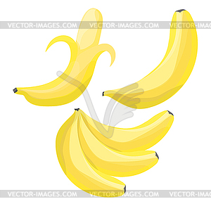 Set of Cartoon Bananas. Single Banana , Peeled - vector clip art