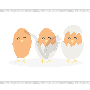 Cartoon cute Easter baby chikens hatched of egg - vector clip art