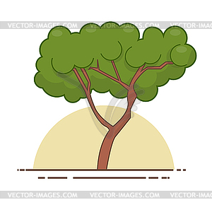 Green tree icon . Line color nature symbol - vector clip art