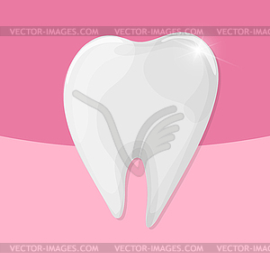 Healthy shiny tooth on pink background - medical - vector clipart