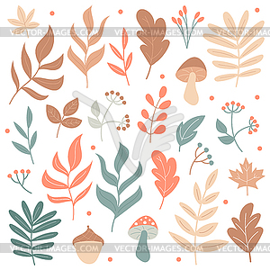 Big set of Autumn elements - mushrooms and plants - vector image