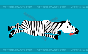 Dead Zebra. African animal deceased. Corpse of - vector clip art