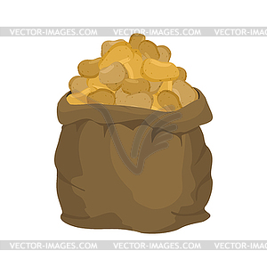 Potato Burlap bag. sack of vegetables. big crop on - vector clipart