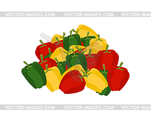 Bunch of pepper. lot of vegetables. big crop - vector image