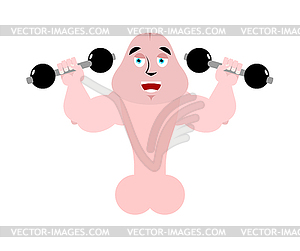Strong penis with dumbbells. Sport for member - vector image