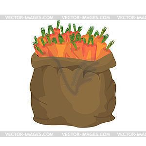 Carrot Burlap bag. sack of vegetables. big crop on - vector clipart