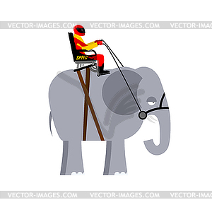 Riding elephant. Racer on wild animal. Team of beas - vector clipart
