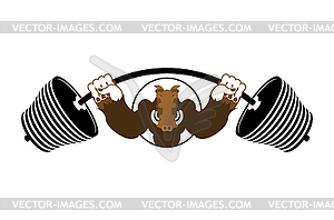 Strong angry boar warthog. Wild boar and barbell. - vector clipart