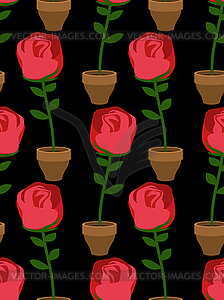Rose in pot seamless pattern. Home Flower texture. - vector image