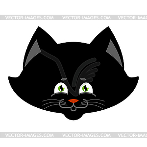 Black cat . Sweetheart Kitten home pet - vector image