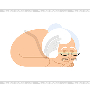 Grandmother with cat body. Cat with grandma head. - vector clipart