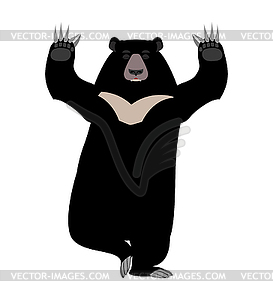 Himalayan bear Yoga. yogi wild animal emoji. Black - vector clipart
