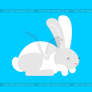 White Rabbit . cute Hare. bunny Animal - vector image