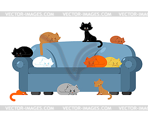 Many Cats on couch. kittens on sofa. Furniture cat - vector image