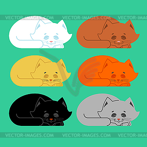 Sleeping cat set. Black and white, yellow and brown - vector image