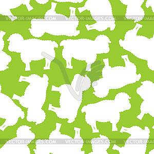 Sheep pattern. ewe ornament. Flock of sheeps. Farm - vector image